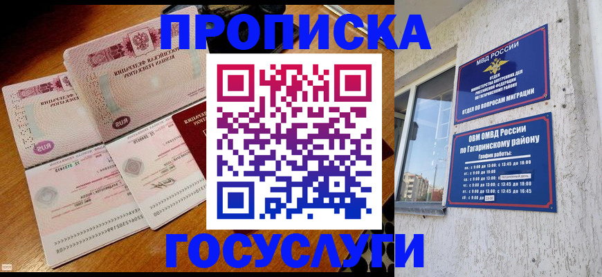 временная регистрация купить в Выксе